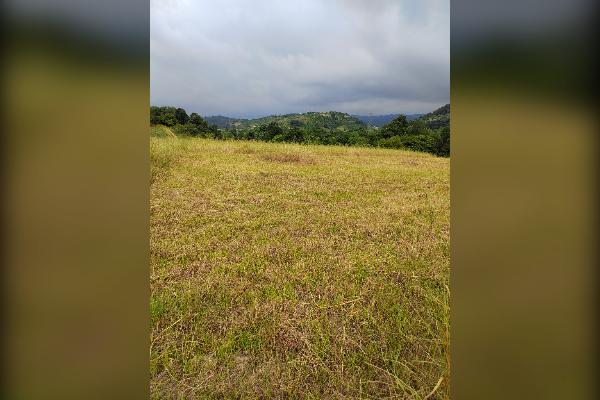 فروش زمین زراعی ۴۵۰ متر قائمشهر روستای ریکنده - تصویر 2