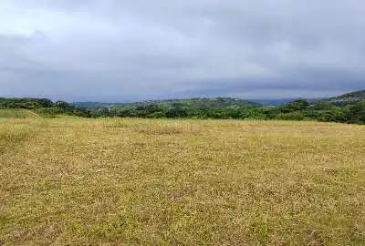 فروش زمین زراعی ۴۵۰ متر قائمشهر روستای ریکنده