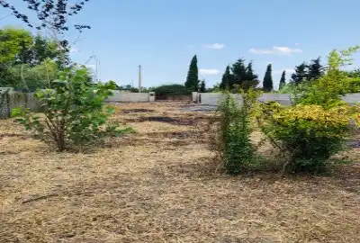 زمین در جاده دریا مهستان ۴۷۰ متر