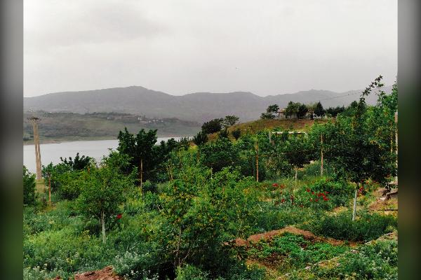 باغچه محصور کنار سد طالقان ۷۸۰ متر - تصویر 1