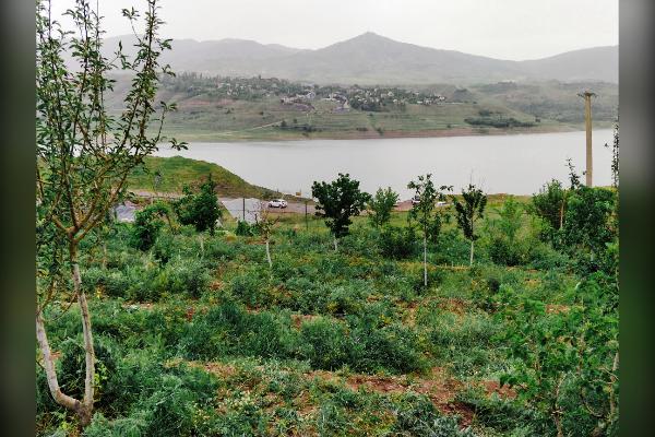 باغچه محصور کنار سد طالقان ۷۸۰ متر - تصویر 2