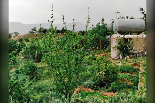 باغچه محصور کنار سد طالقان ۷۸۰ متر - تصویر 3