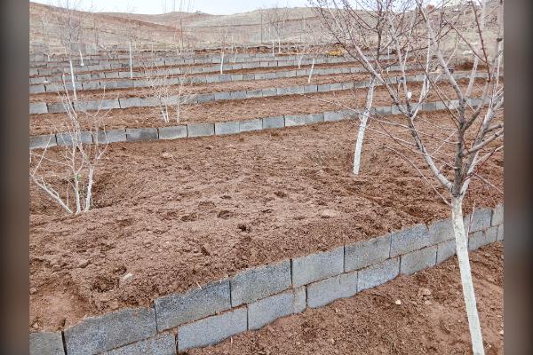 باغچه محصور کنار سد طالقان ۷۸۰ متر - تصویر 4