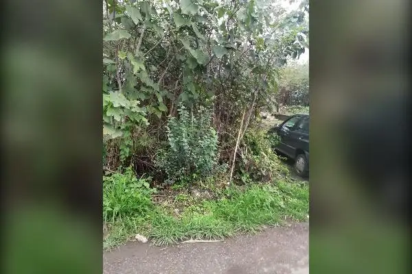 زمین مسکونی بر خیابان اصلی ۲۰۰ متر - تصویر 2