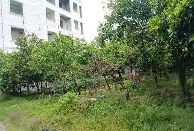 فروش زمین مسکونی ۲۸۰ متری خیابان طحانی کتالم
