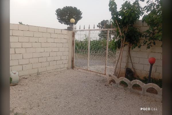 باغ در آقدره ساوه ۵۰۰ متر بسیار خوش آب و هوا - تصویر 3