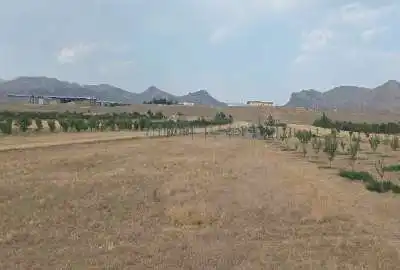 باغ شخصی در جاده فرودگاه بین المللی
