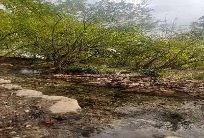 فروش باغ ثمرده ۱۵۰۰ متر شهر سیدان روستای گوگی