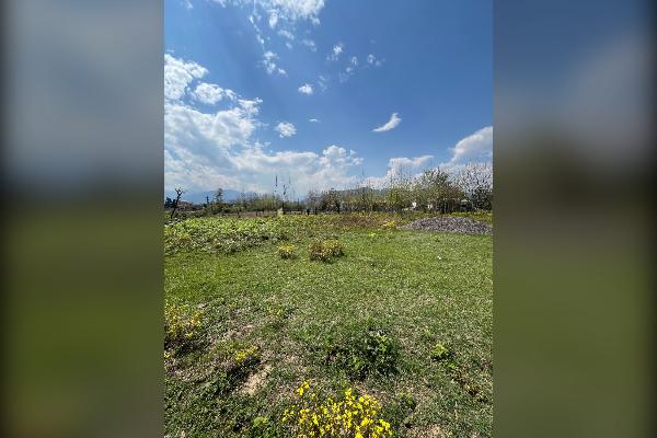 زمین ۳۰۰ متر ماسال روستای خودبچر - تصویر 1