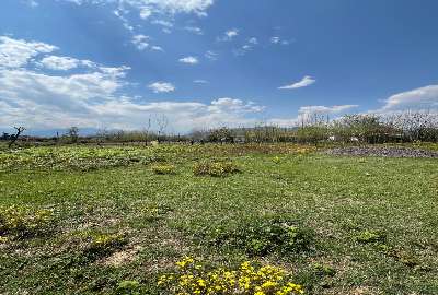 زمین ۳۰۰ متر ماسال روستای خودبچر