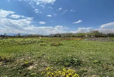 زمین ۳۰۰ متر ماسال روستای خودبچر