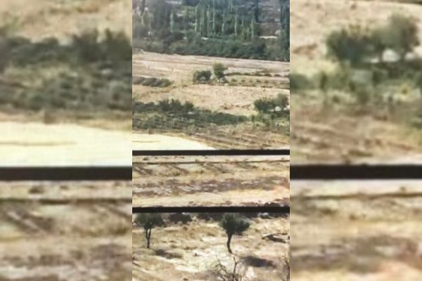 زمین کشاورزی دردشت کامو بایک قفیس اب رودخانه - تصویر 2