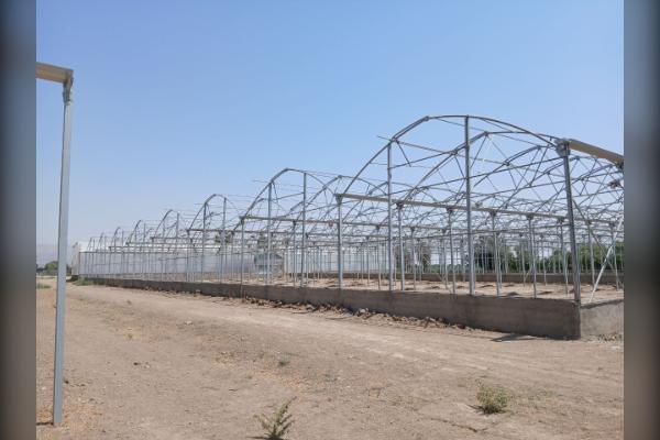 فروش و مشارکت زمین ۴۳۰۰۰ متر گلخانه صنعتی - تصویر 3