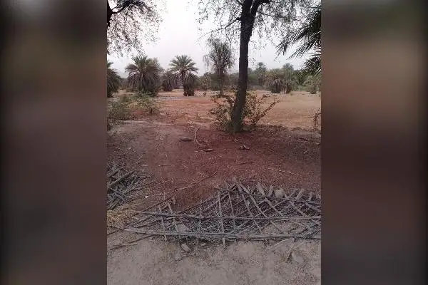 زمین مسکونی ۳۰۰ متر قصرقند محله بگان - تصویر 2