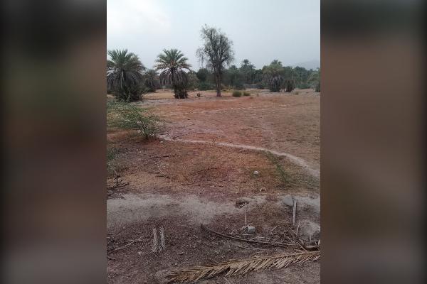 زمین مسکونی ۳۰۰ متر قصرقند محله بگان - تصویر 3