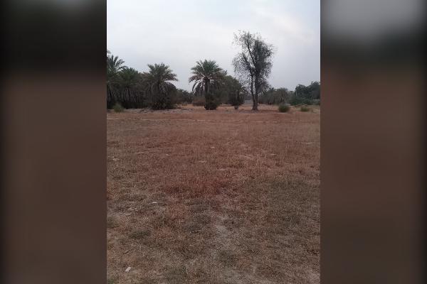 زمین مسکونی ۳۰۰ متر قصرقند محله بگان - تصویر 4