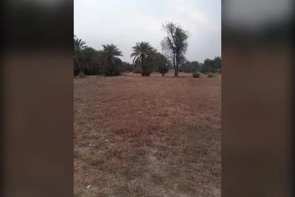 زمین مسکونی ۳۰۰ متر قصرقند محله بگان - تصویر 4