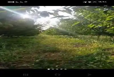 باغ زمین رزجرد قزوین ۱۰۰۰ متر