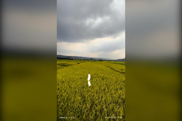 زمین فروشی آبی قاعمشهر جاده نظامی روستا بورخیل - تصویر 2