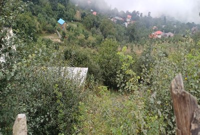 فروش زمین ۷۱۵ متری رامسر دالخانی روستای ایزکی