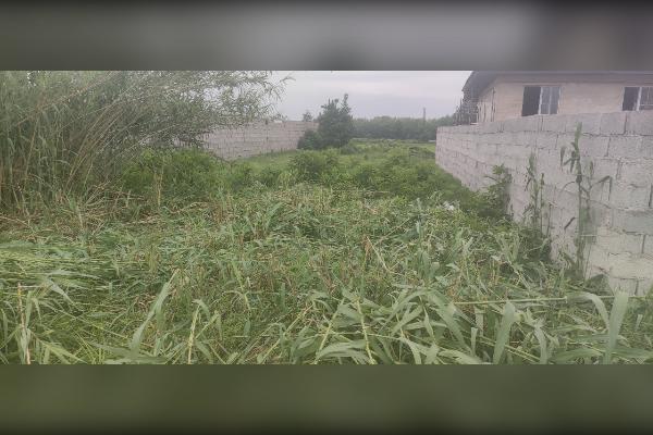 فروش زمین ۳۴۶ متر صومعه سرا بالا مرکیه - تصویر 1