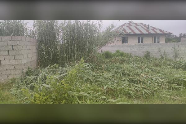 فروش زمین ۳۴۶ متر صومعه سرا بالا مرکیه - تصویر 3