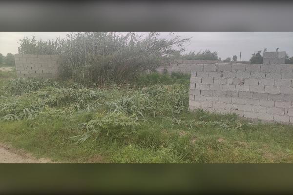 فروش زمین ۳۴۶ متر صومعه سرا بالا مرکیه - تصویر 4