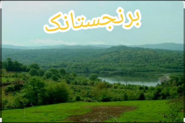 فروش زمین ۲۰۰۰ متر شیرگاه روستای برنحستانک - تصویر 2