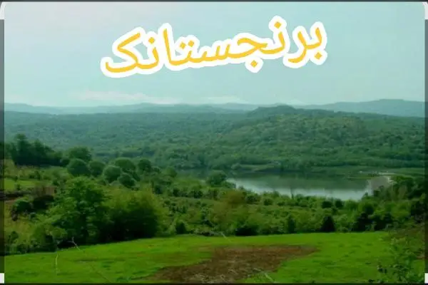 فروش زمین ۲۰۰۰ متر شیرگاه روستای برنحستانک - تصویر 2