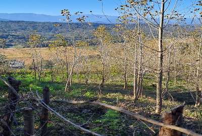 فروش زمین ۲۰۰۰ متر شیرگاه روستای برنحستانک