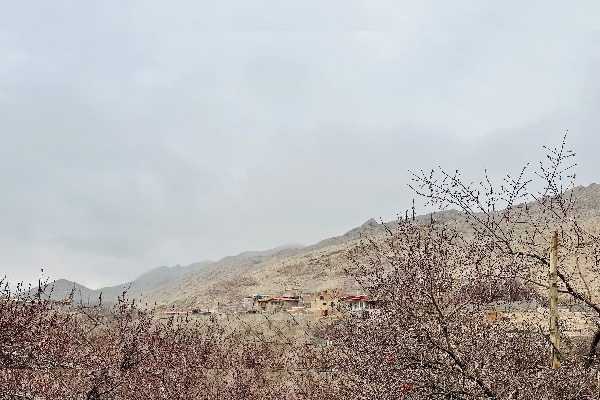 فروش باغ در روستای ده آقا بالاتر از نشوه - تصویر 1