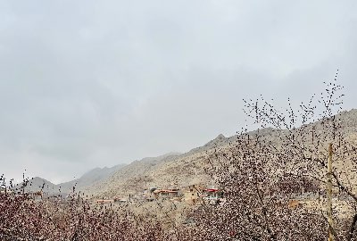 فروش باغ در روستای ده آقا بالاتر از نشوه