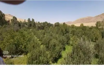زمین کنار جاده میانه به تبریز ۵۰۰۰۰ متر