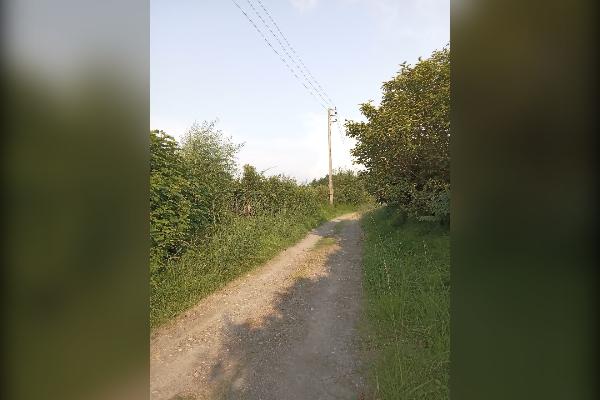زمین کشاورزی ۳۰۰۰ متر کلارآباد - تصویر 1