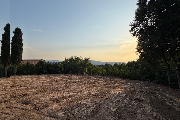 فروش باویوجنگلی پایین کولا روستای واردمحله - تصویر 2