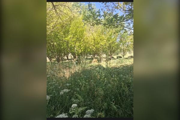 فروش زمین کشاورزی در شمس آباد اراک ۴۰۰ متر - تصویر 1