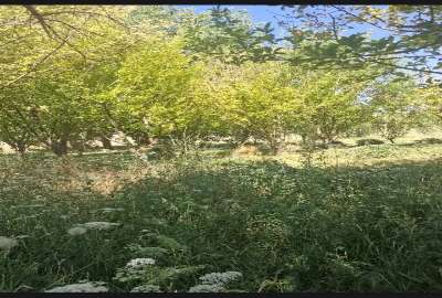 فروش زمین کشاورزی در شمس آباد اراک ۴۰۰ متر