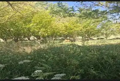 فروش زمین کشاورزی در شمس آباد اراک ۴۰۰ متر