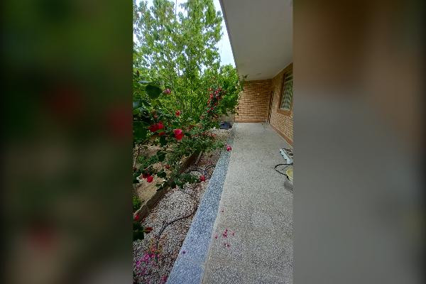 باغ فول امکانات بر اتوبان ۲۵۰۰ متر - تصویر 1