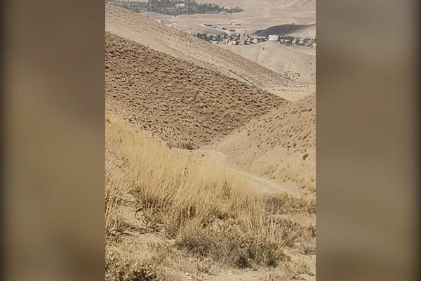 زمین کشاورزی دیمزار روستای شادمهن - تصویر 2