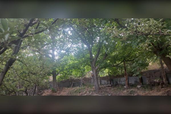 باغ سیب و گردو روستای دهنار منطقه ابرشیوه - تصویر 2