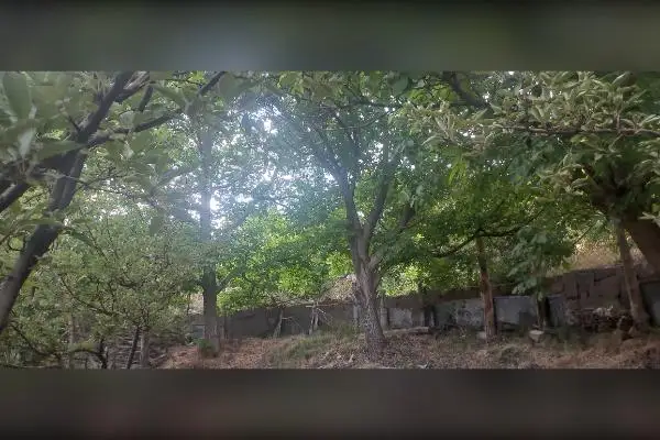 باغ سیب و گردو روستای دهنار منطقه ابرشیوه - تصویر 2