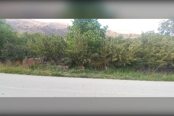 باغ سیب و گردو روستای دهنار منطقه ابرشیوه - تصویر 3