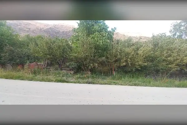 باغ سیب و گردو روستای دهنار منطقه ابرشیوه - تصویر 3