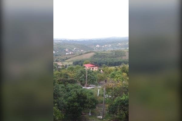 زمین کشاورزی جاده قادیکلای بزرگ روستای گل افشان - تصویر 1