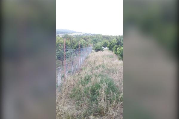 زمین کشاورزی جاده قادیکلای بزرگ روستای گل افشان - تصویر 4