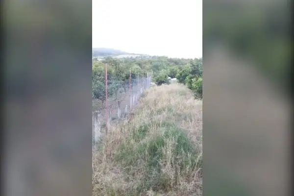 زمین کشاورزی جاده قادیکلای بزرگ روستای گل افشان - تصویر 4