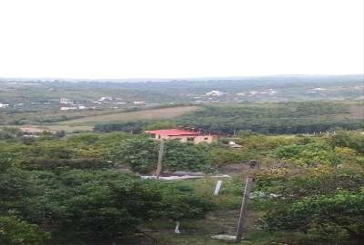 زمین کشاورزی جاده قادیکلای بزرگ روستای گل افشان