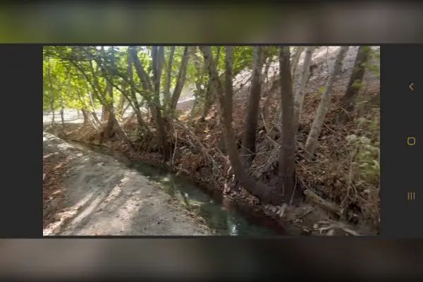 باغ خوش اب و هوا در کردان ۱۲۰۰۰ متر - تصویر 2