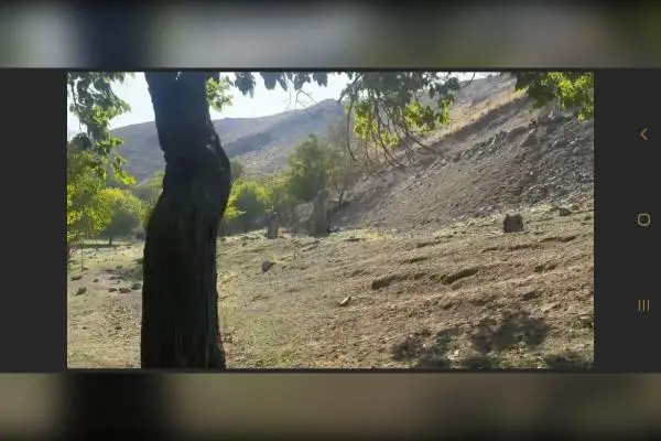 باغ خوش اب و هوا در کردان ۱۲۰۰۰ متر - تصویر 3